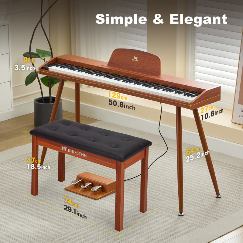 Jeu de musique électrique avec banc, Brown