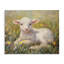 Sunlight Lamb in Flowers Canvas, design par Petal Prints Design-900122939