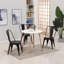Seng Dining Chair-204044240