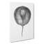 Stingray Illustration - Wrapped Canvas Drawing - Wrapped Canvas-55318297