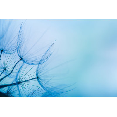Dandelion Seed by Jasmina007