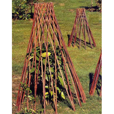 Wood Expanding Trellis