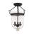 Husman Glass Semi Flush Mount-16518414-16518408