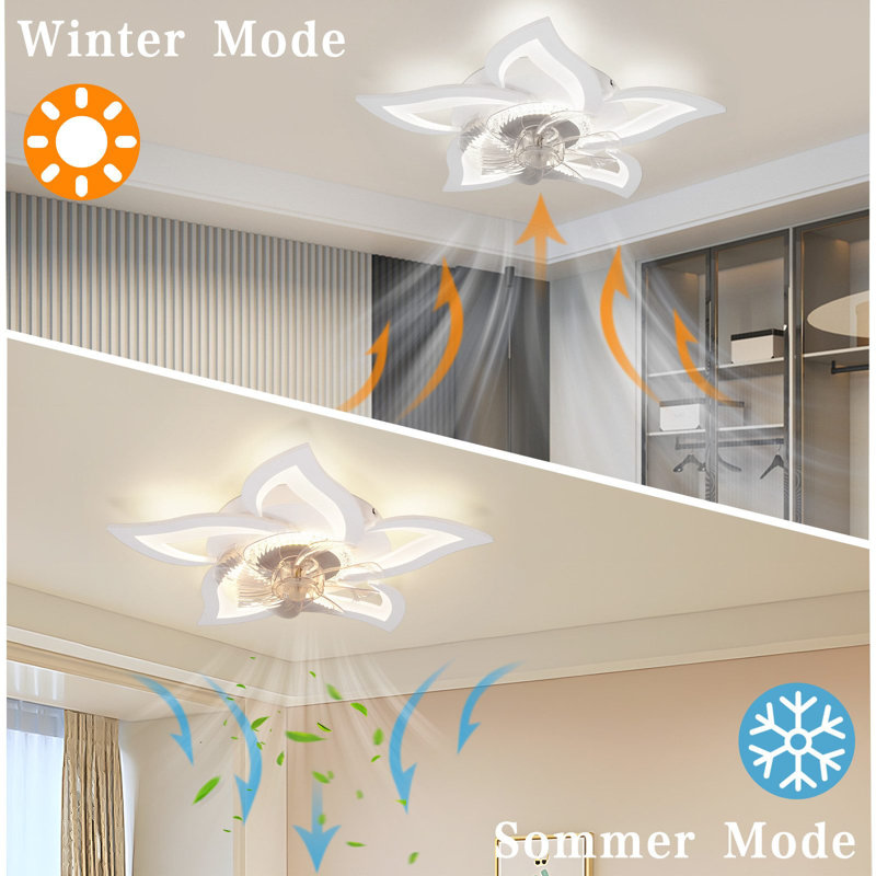 Ceiling Fan with LED Lights