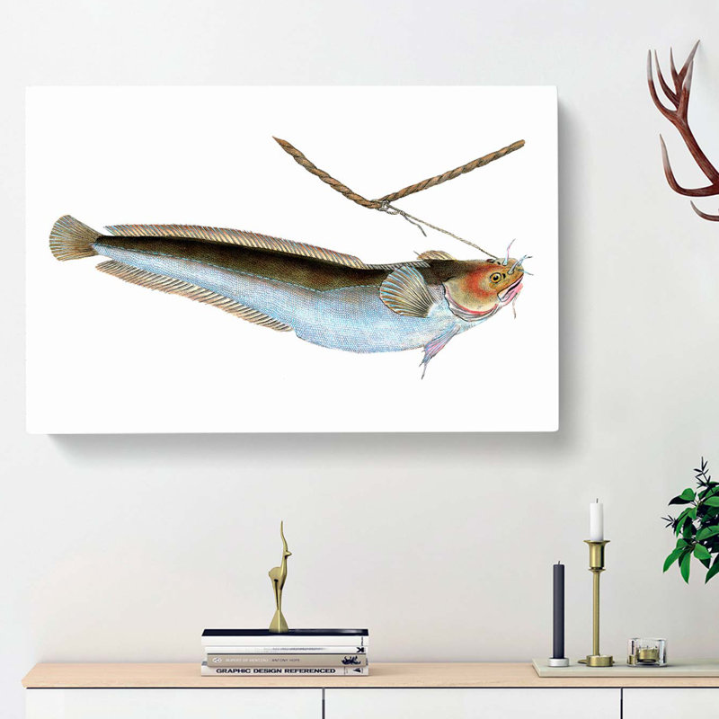 Cod Fish On The Line by Edward Donovan - Wrapped Canvas, 35cm H x 50cm W x 3cm D