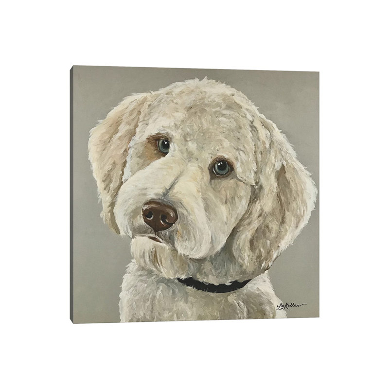 Goldendoodle with Blue Eyes 1 Piece Wrapped Canvas Painting, 45.72 cm H x 45.72 cm W x 3.175 cm D