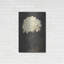 Art mural en métal Latitude Run® «Vintage White Hydrangea» par Lettré-1440788369