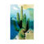 Cactus Abstract 1 Piece Wrapped Canvas Painting-42160792