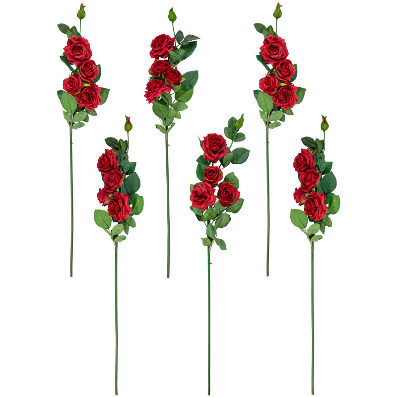 Roses et tiges