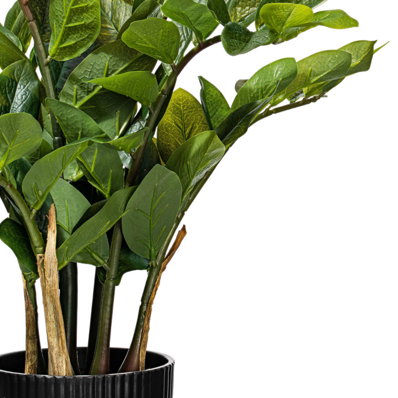 Buisson artificiel zamifolia zen vert en pot, H 28 po x l 16 po x P 16 po