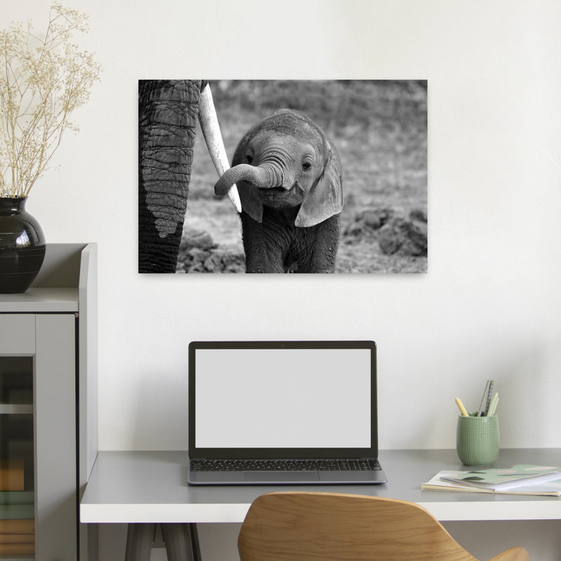 Art contemporain, éléphant, art contemporain, H 16 po x l 24 po