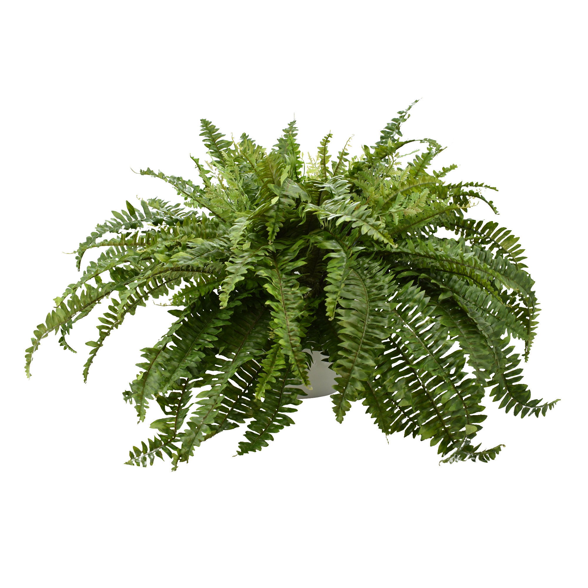 Primrue 24'' Faux Fern Plant in Fiberstone Pot Wayfair