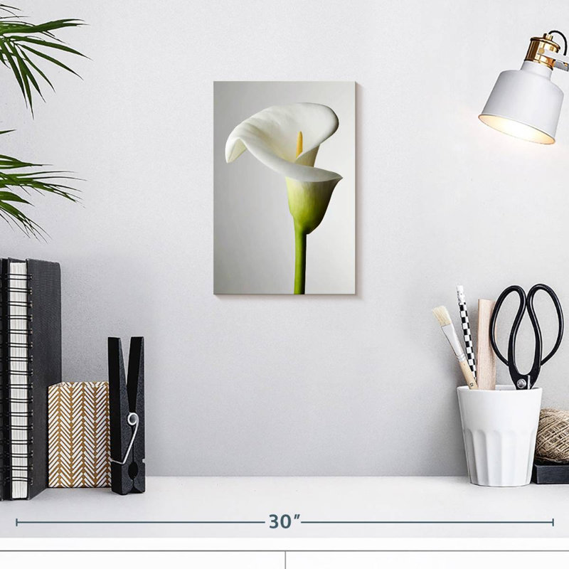 Harnek Fresh Calla Lily, 12" H x 8" W