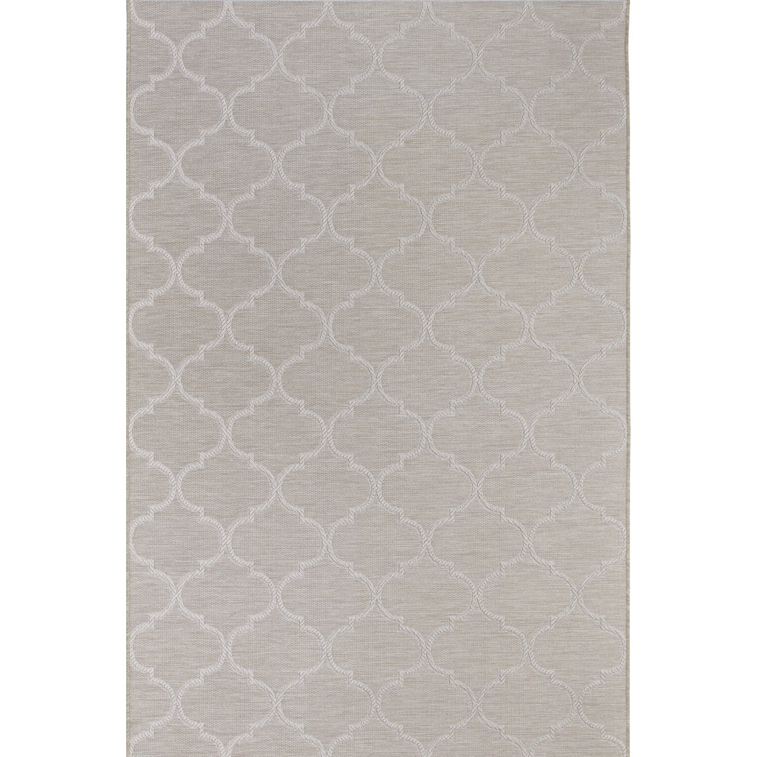 Paityn Flatweave Beige Rug