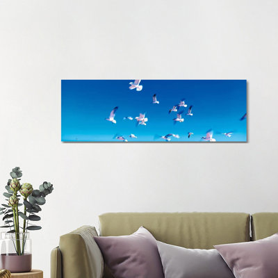 Birds In Flight Flagler Beach FL USA - Wrapped Canvas Panoramic Print