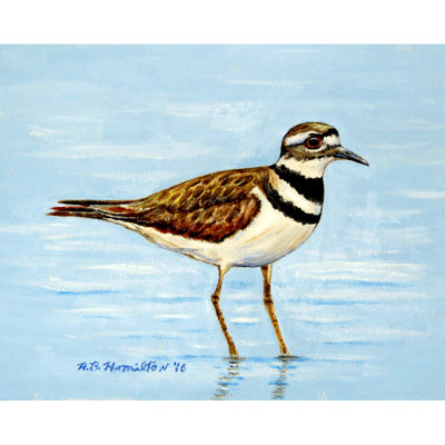 Récapitulatif de 18 po Killdeer
