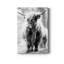 Yorkshire Highland - impression sur toile tendue-1624941078