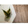Faz Plastic Coffee Table