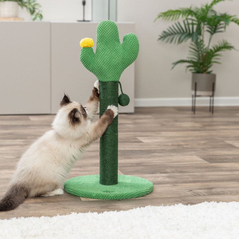  Grattoir en jute 24 po Fero - Mignon arbre à chat cactus fantaisiste avec jouet suspendu
