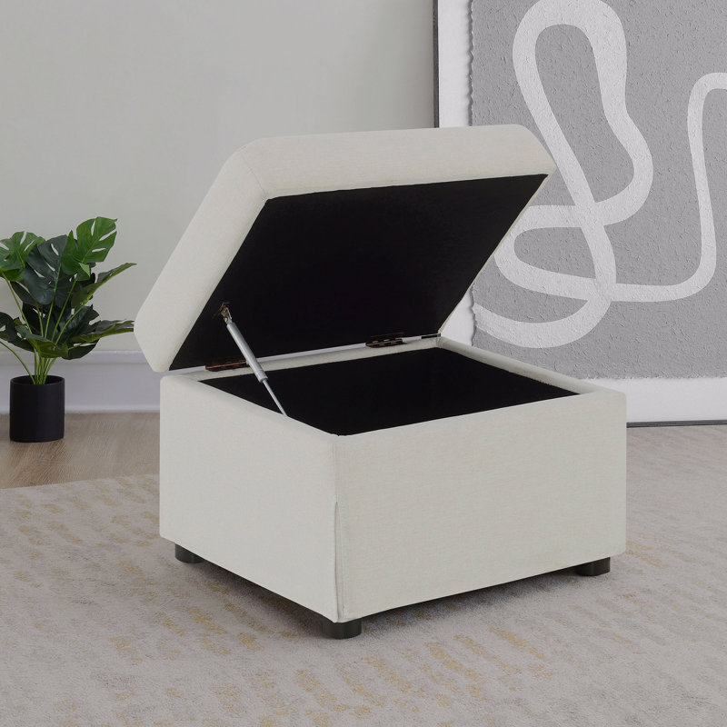 Repose-pieds avec rangement relevable