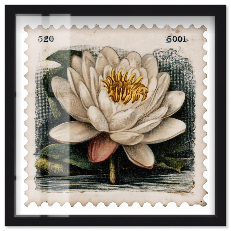 «Urban Bloom II Shadowbox Print» par Art Remedy, H 13 po x l 13 po, Noir