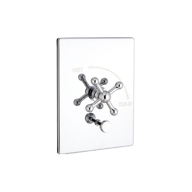 Rectangle Pressure Balance T & S Complete with Valve, Brushed Nickel