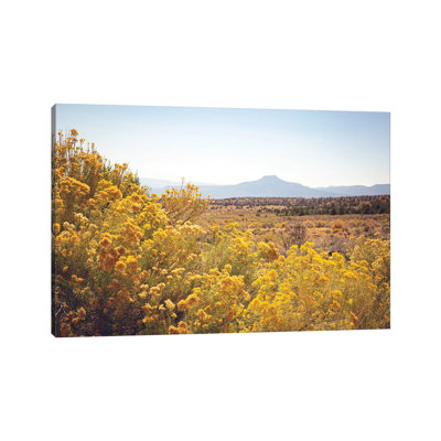 New Mexico Gold 1 Piece Wrapped Canvas Wall Art