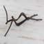 Undulations Bronze Figurine