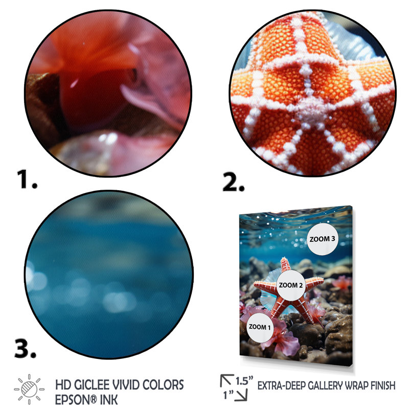Étoile de mer corail - impression, Cadre d'angle fermé noir, H 20 po x l 12 po x P 1 po