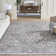 Oriental Light Gray/Ivory Area Rug