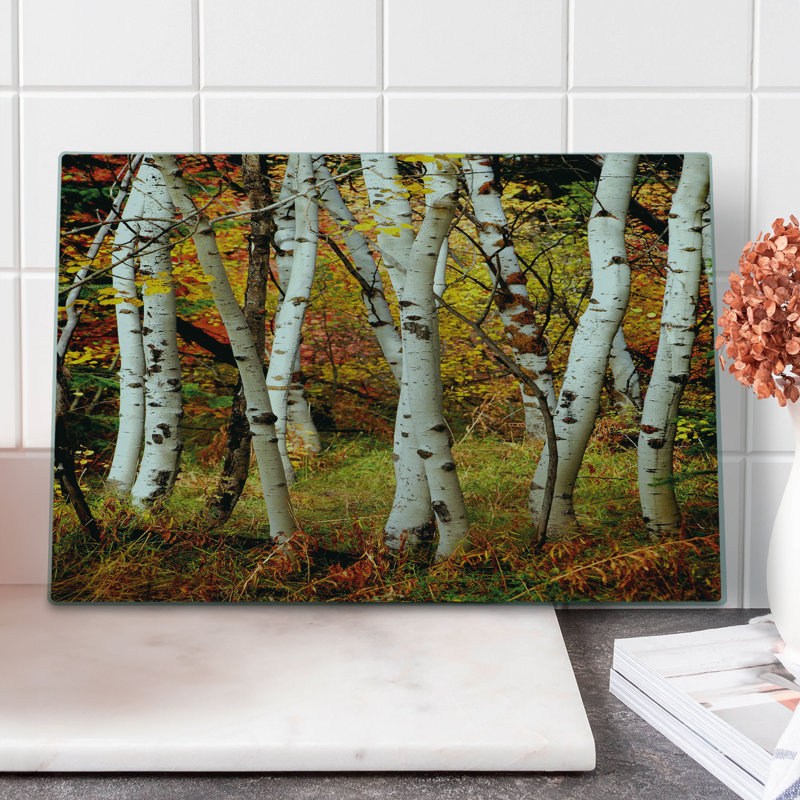Ambesonne Fall Cutting Board Large Size White Birch Trees Serenity Multicolor