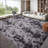 Shag Area Rugs Tie-Dyed Plush Fuzzy Rugs for Living Room, Ultra Soft Fluffy Furry Rugs for Bedroom, Indoor Carpet Nursery Rugs for Kids Room Home Decor-841341987