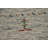 Handmade Gabbeh Oriental Rug 4