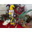Mardi Gras No Animal(s) Landscape & Nature Nutcracker
