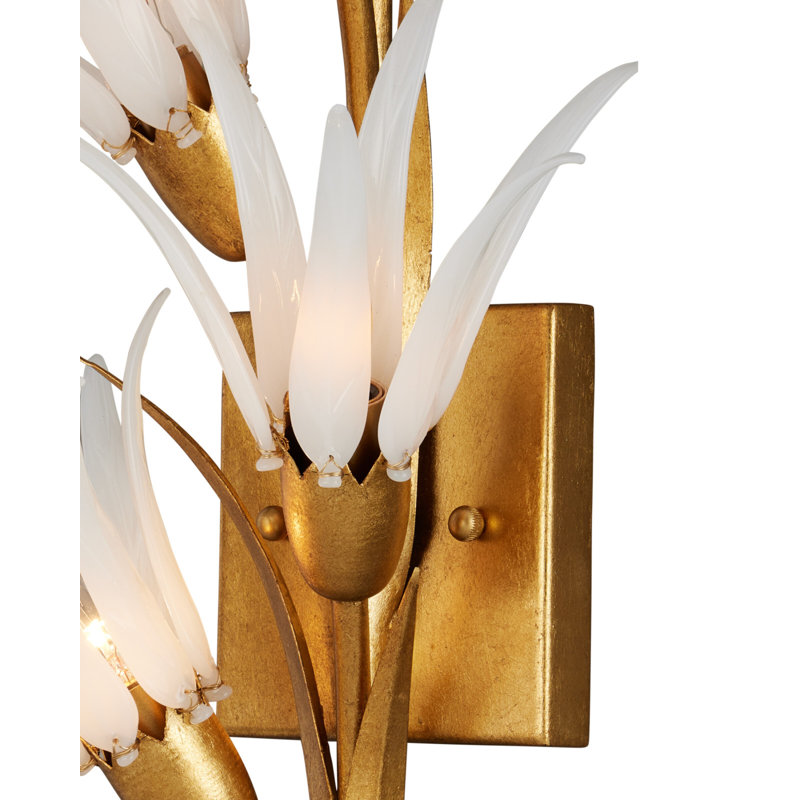 Leda 4 Light Wall Sconce