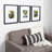 Baislee Matte Picture Frame - Set of 3 with Mat-1628603343