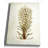 " Botanical Plate VIIII " Graphic Art Print-22188533