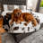 PupProtector Waterproof Throw Blanket-102079371-103792886