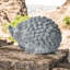 Garden Statue-1785783113