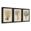 Esper Sea Fans IV - ensemble de 3 peintures sur toile encadrées-1921270026-1921270025