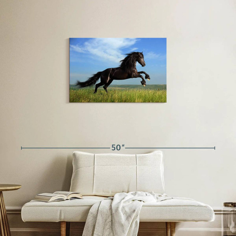 Brampt superbe cheval frison, H 20 po x l 30 po