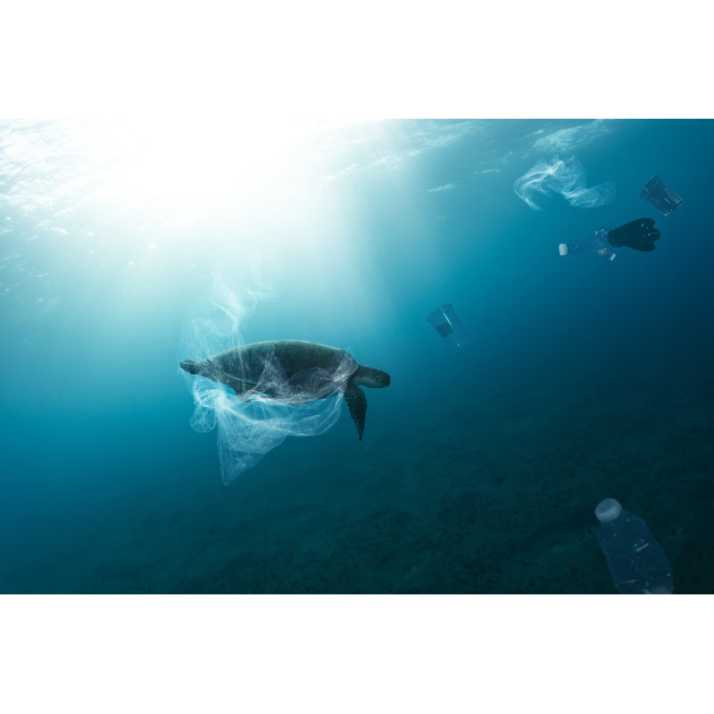 Underwater Global by Jag_cz - Wrapped Canvas Print, 30cm H x 46cm W