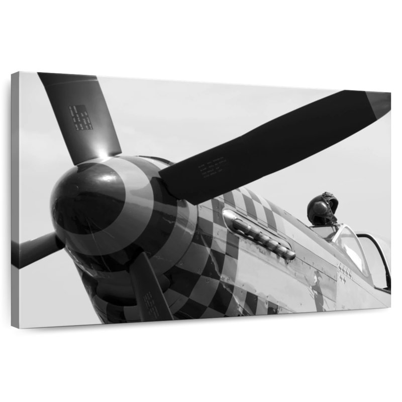 Avion de chasse Mehar Mustang, H 34 po x l 51 po