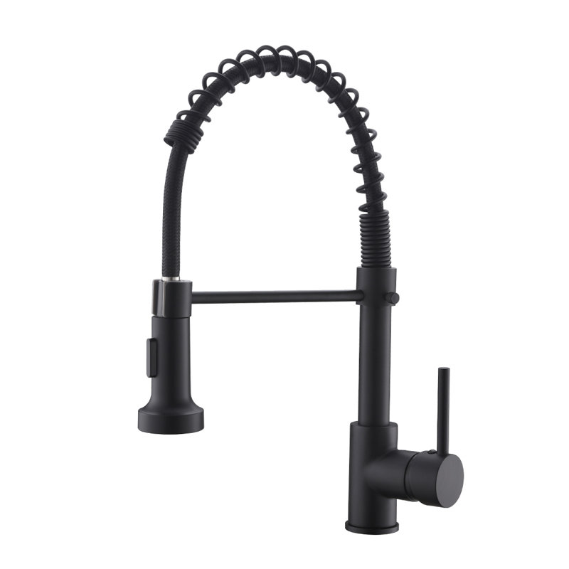 Robinet de cuisine rétractable à poignée simple avec accessoires, Noir