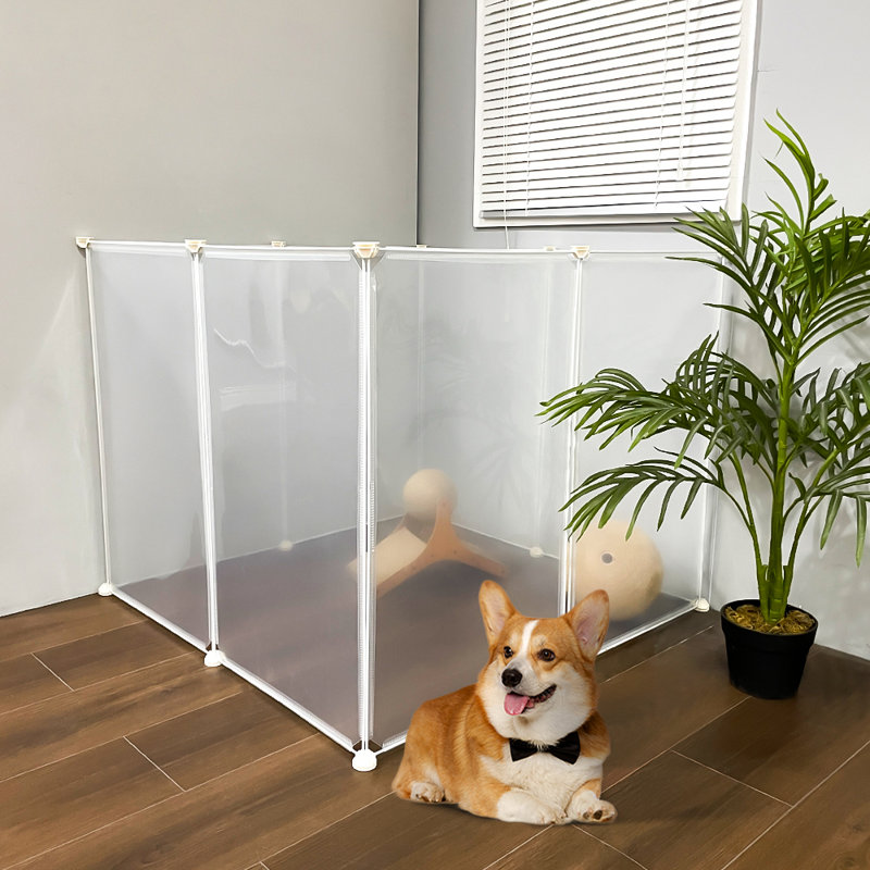 Plastic / Acrylic Collapsible Pet Crate, 45cm H x 70cm W x 70cm D