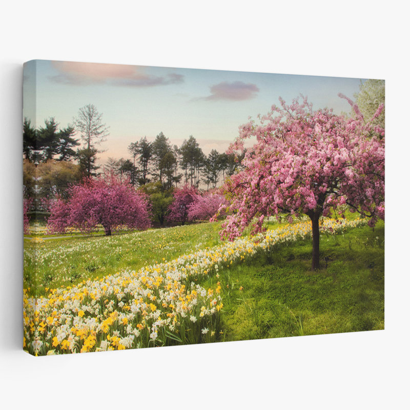 Paysage, nature, plantes, fleurs, jonquille, art mural, H 16 po x l 24 po