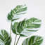 54.5cm Faux Devil's Ivy (Scindapsus Aureus) Plant in Pot