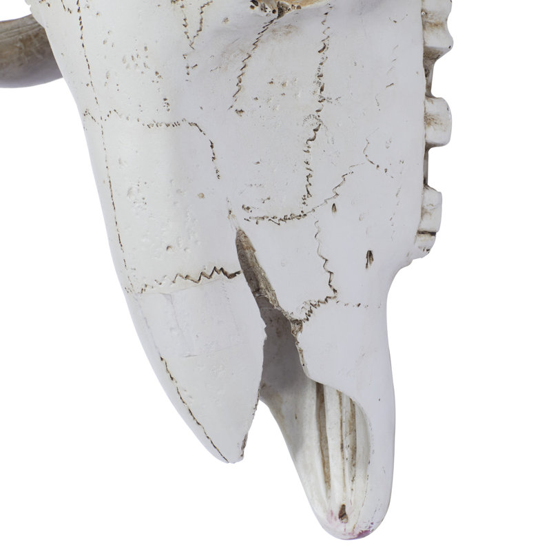 Polystone Skull Sheep White Wall Decor