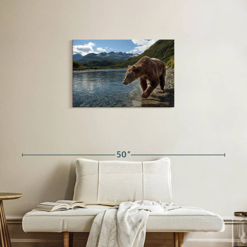 Katmai Brown Bear, 20" H x 30" W