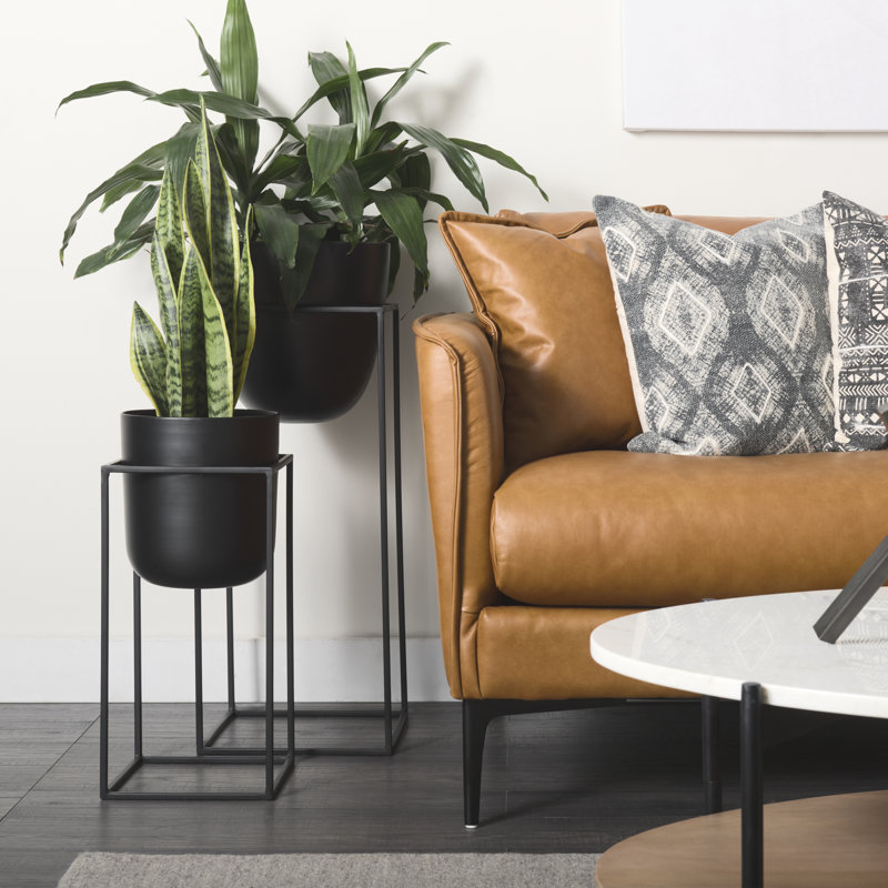 Bumble Black Plant Stands